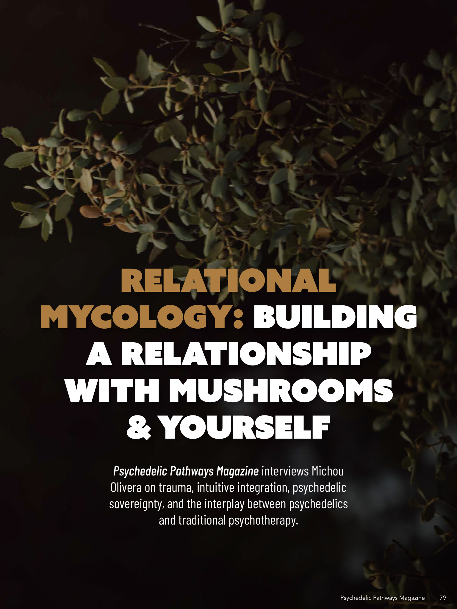 Opening title page of Michou Olivera’s interview, Relational Mycology: Building a Relationship With Mushrooms & Yourself